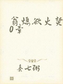 翁熄欲火焚身50章