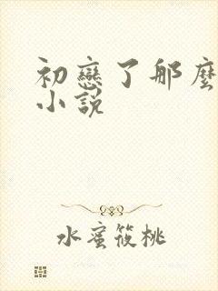 初恋了那么多年小说