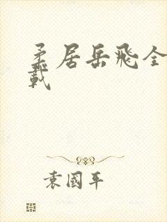 柔居岳飞全传下载