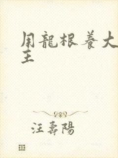 用龙根养大的公主