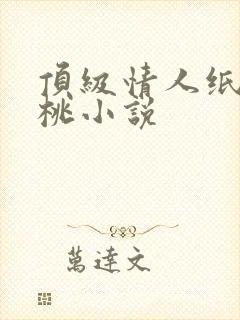 顶级情人纸皮核桃小说