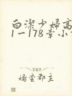 白洁少妇高义第1一178章小说