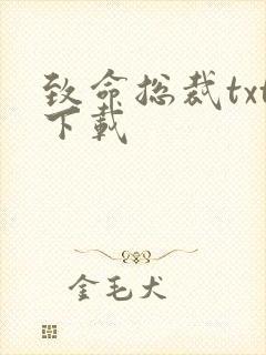 致命总裁txt下载