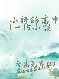 小诗的高中日记1一15小说