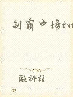 制霸中场txt
