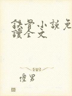 铁骨小说免费阅读全文