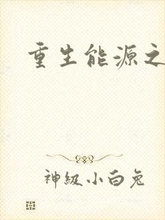 重生能源之王