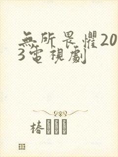 无所畏惧2023电视剧