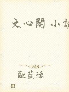 文心阁 小说