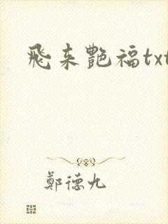 飞来艳福txt