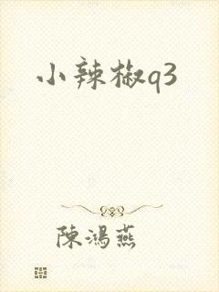 小辣椒q3