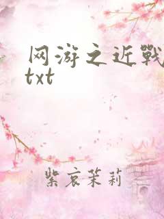 网游之近战法师txt