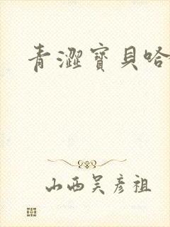 青涩宝贝哈烧恋