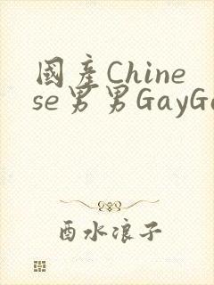 国产Chinese男男GayGayAPP