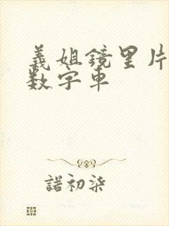 义姐镜里片微博数字车