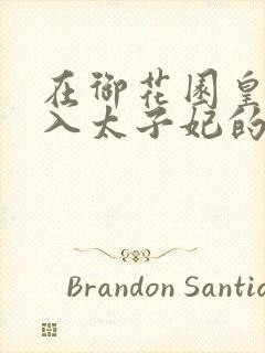 在御花园皇上进入太子妃的小说