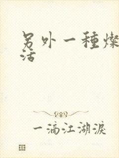 另外一种灿烂生活