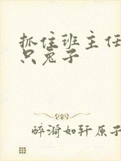 抓住班主任的两只兔子