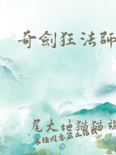 奇剑狂法师