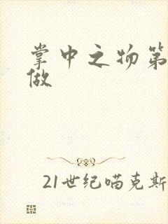 掌中之物第一次做