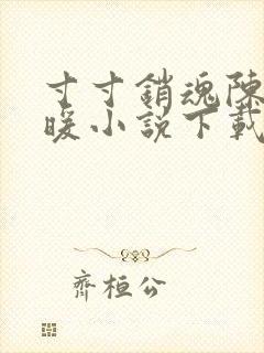 寸寸销魂陈聪王暖小说下载