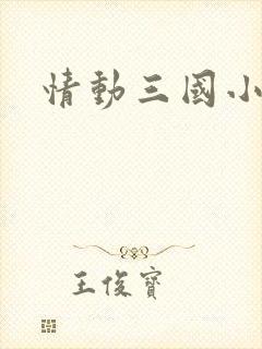 情动三国小说