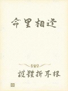 命里相逢