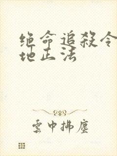 绝命追杀令2就地正法