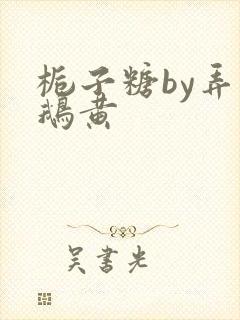 栀子糖by弄白鹅黄