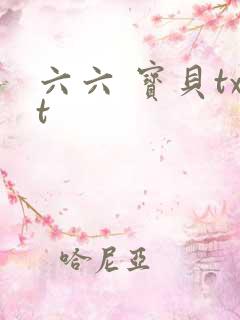 六六 宝贝txt