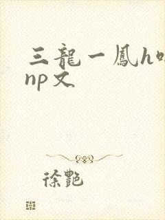 三龙一凤h啪肉np文