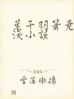 叶千羽萧尧白清浅小说