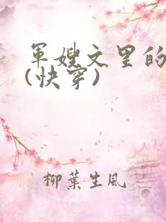 军嫂文里的女配(快穿)