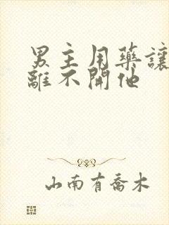 男主用药让女主离不开他