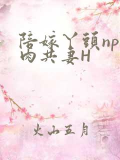 陪嫁丫头np全肉共妻H
