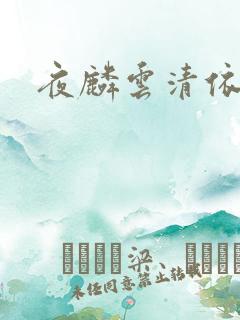 夜麟云清依小说