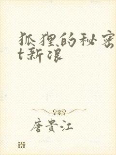 狐狸的秘密txt新浪