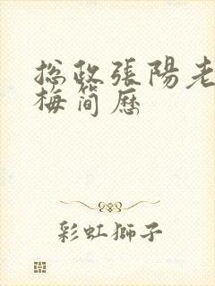 总政张阳老婆吕梅简历