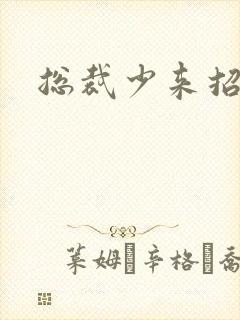 总裁少来招惹我