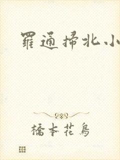 罗通扫北小说
