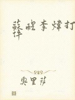 苏醒李炜打架事件