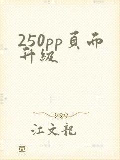 250pp页面升级