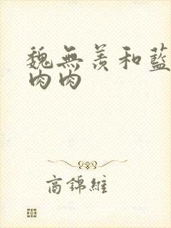 魏无羡和蓝忘机肉肉