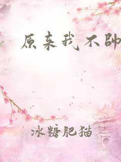 原来我不帅小说