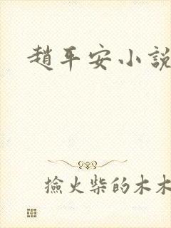 赵平安小说主角