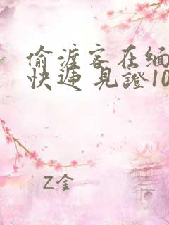 偷渡客在缅北送快递 见证100种逃亡