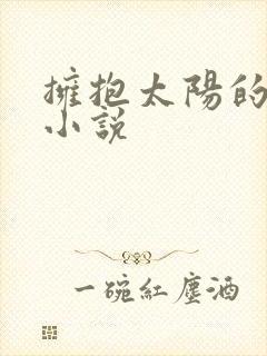 拥抱太阳的月亮小说