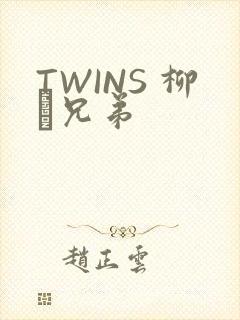TWINS 柳澤兄弟