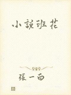 小说班花