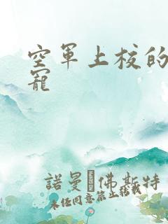 空军上校的邪魅宠